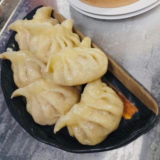 Veggie Potstickers